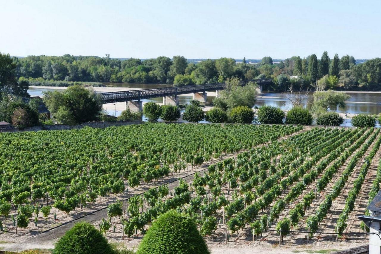 Gite Des Chaumiennes Pouilly-sur-Loire Eksteriør bilde