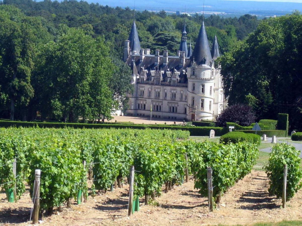 Gite Des Chaumiennes Pouilly-sur-Loire Eksteriør bilde