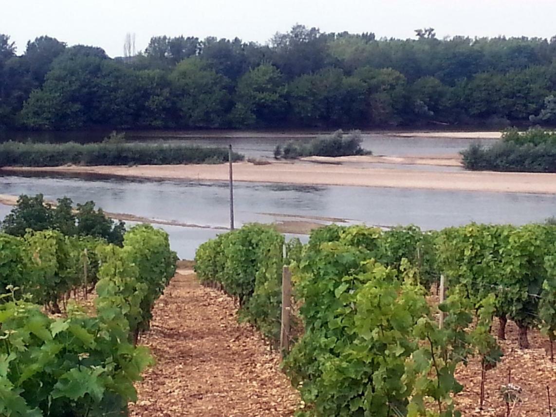Gite Des Chaumiennes Pouilly-sur-Loire Eksteriør bilde